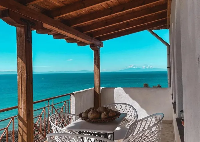 Olga & 莫拉卡里瓦