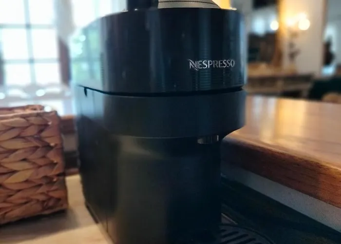 Olga & 莫拉卡里瓦