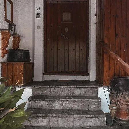 Olga & Villa